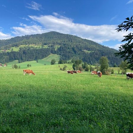 4 Elements Appartmenthaus Monarda Flachau Bagian luar foto